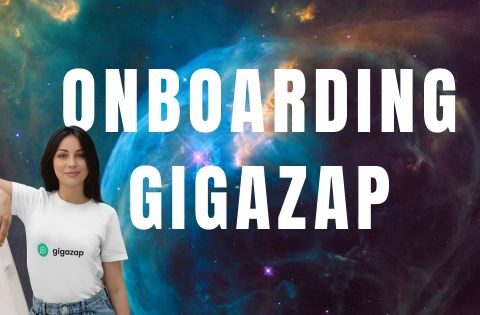 Curso Completo de Utilização da Gigazap